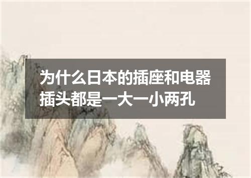 为什么日本的插座和电器插头都是一大一小两孔