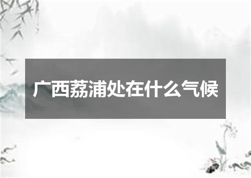 广西荔浦处在什么气候