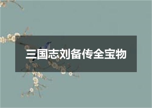 三国志刘备传全宝物