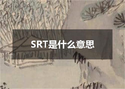 SRT是什么意思