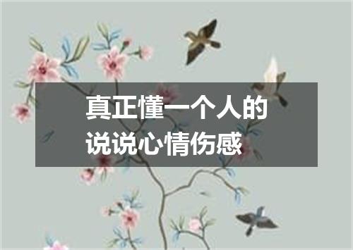 真正懂一个人的说说心情伤感