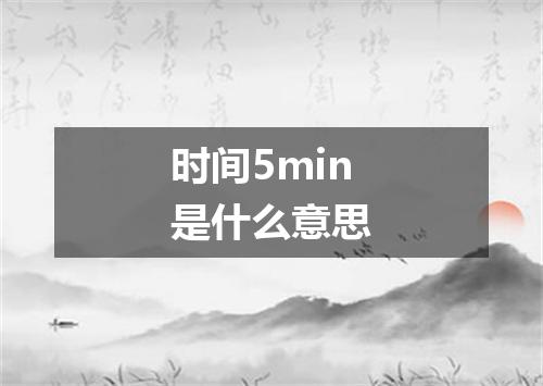 时间5min是什么意思