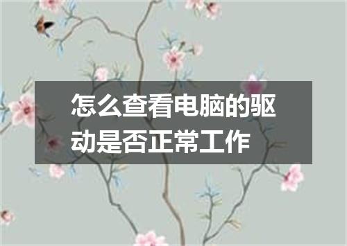 怎么查看电脑的驱动是否正常工作
