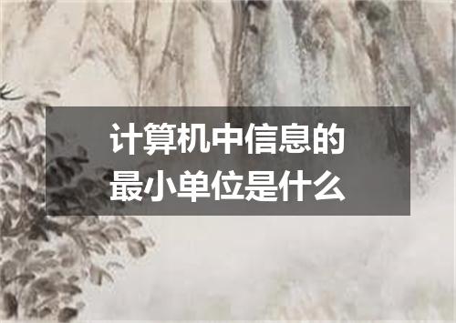 计算机中信息的最小单位是什么