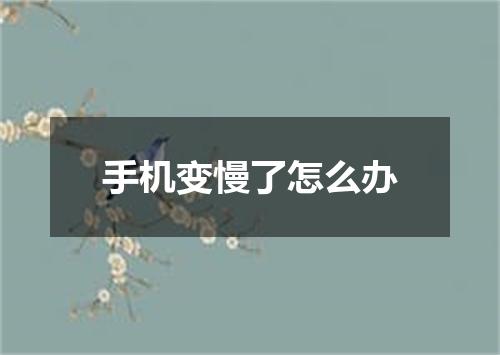 手机变慢了怎么办