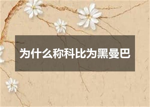 为什么称科比为黑曼巴