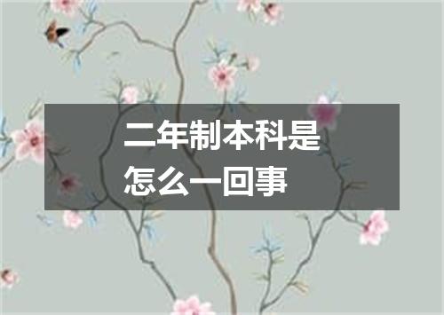 二年制本科是怎么一回事