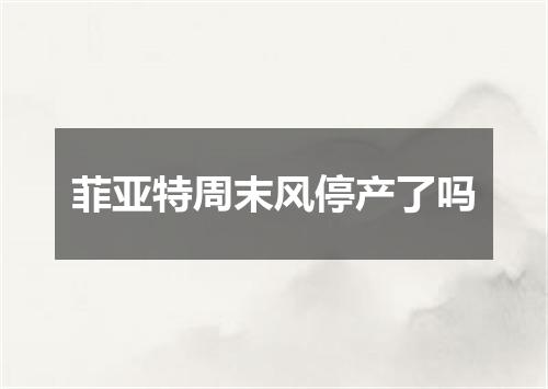 菲亚特周末风停产了吗