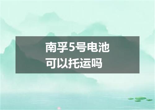 南孚5号电池可以托运吗
