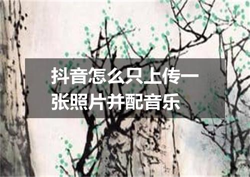 抖音怎么只上传一张照片并配音乐