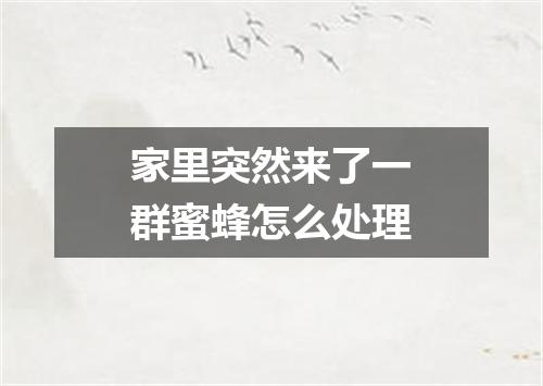 家里突然来了一群蜜蜂怎么处理