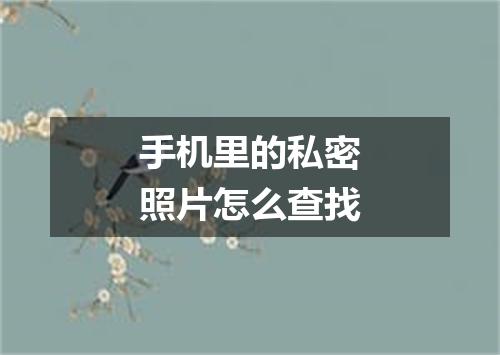 手机里的私密照片怎么查找