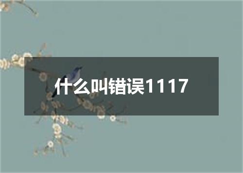 什么叫错误1117
