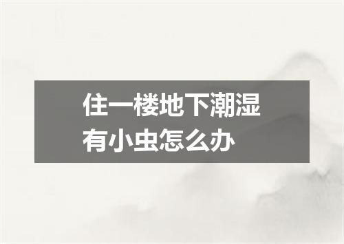 住一楼地下潮湿有小虫怎么办