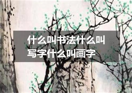 什么叫书法什么叫写字什么叫画字