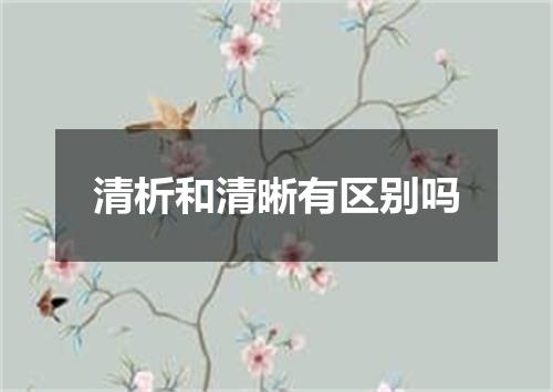 清析和清晰有区别吗
