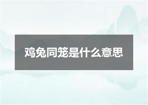 鸡兔同笼是什么意思