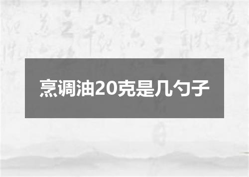 烹调油20克是几勺子