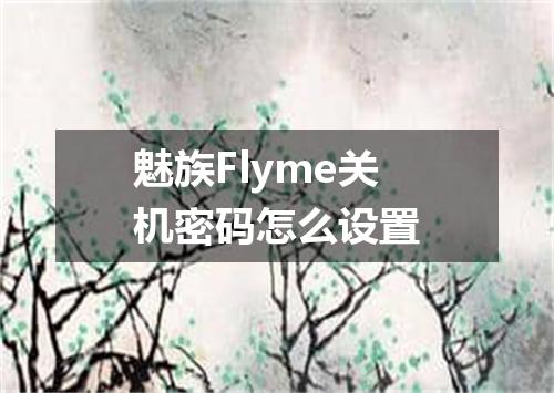 魅族Flyme关机密码怎么设置