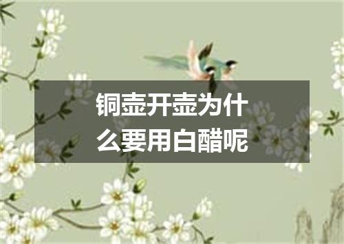 铜壶开壶为什么要用白醋呢