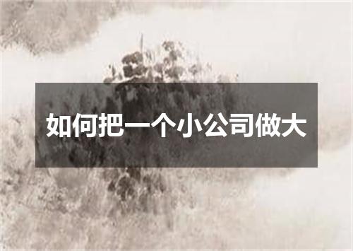 如何把一个小公司做大