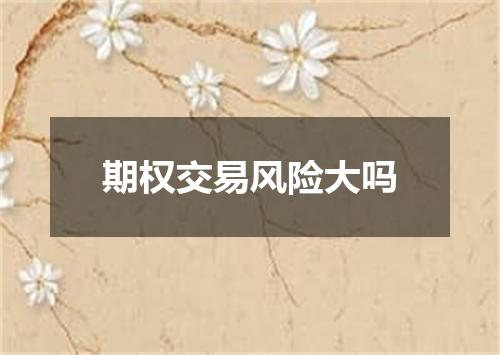 期权交易风险大吗