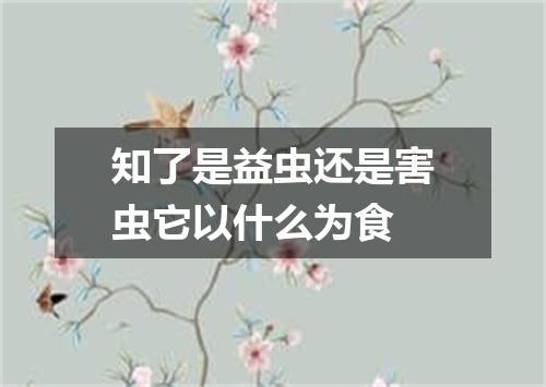 知了是益虫还是害虫它以什么为食