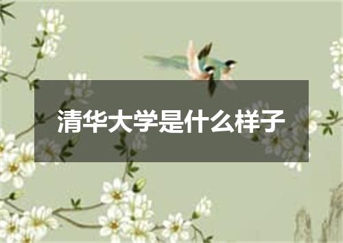 清华大学是什么样子