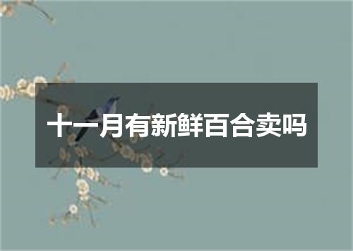 十一月有新鲜百合卖吗