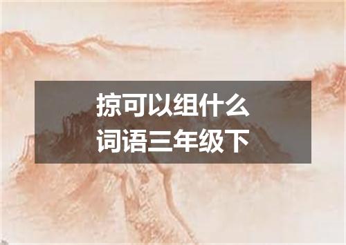 掠可以组什么词语三年级下