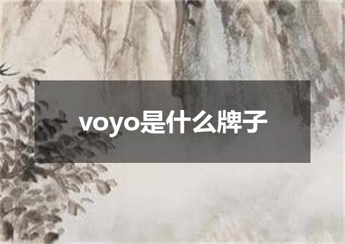 voyo是什么牌子