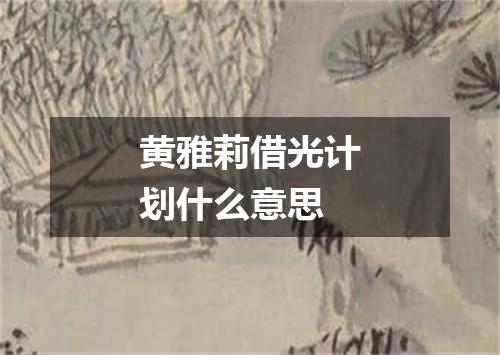 黄雅莉借光计划什么意思