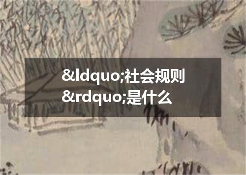 &ldquo;社会规则&rdquo;是什么