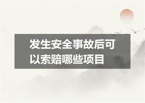 发生安全事故后可以索赔哪些项目
