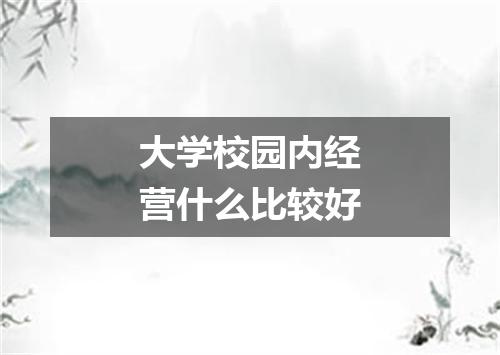 大学校园内经营什么比较好