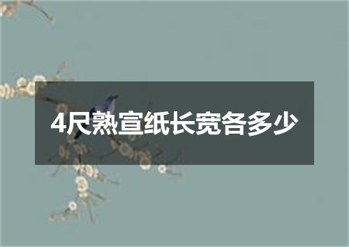 4尺熟宣纸长宽各多少