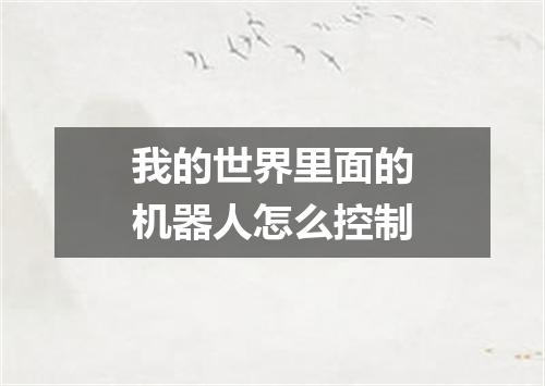 我的世界里面的机器人怎么控制