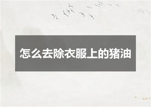 怎么去除衣服上的猪油