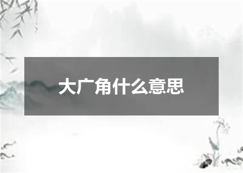 大广角什么意思