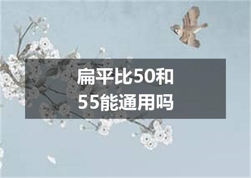 扁平比50和55能通用吗