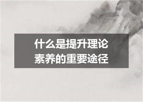 什么是提升理论素养的重要途径