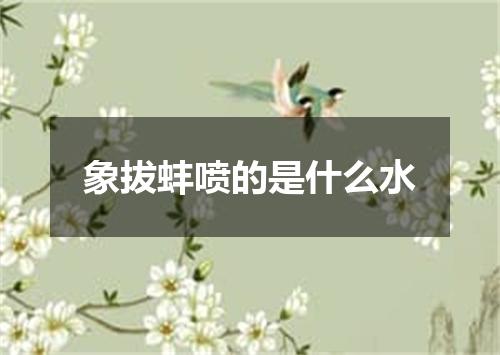 象拔蚌喷的是什么水