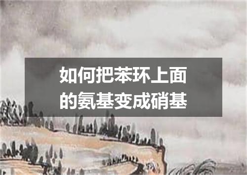 如何把苯环上面的氨基变成硝基