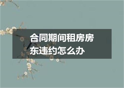 合同期间租房房东违约怎么办