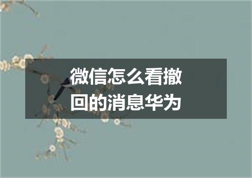 微信怎么看撤回的消息华为