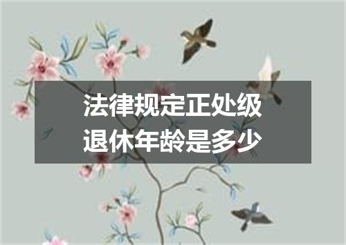 法律规定正处级退休年龄是多少