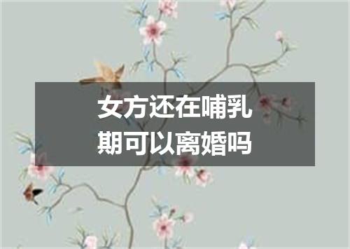 女方还在哺乳期可以离婚吗