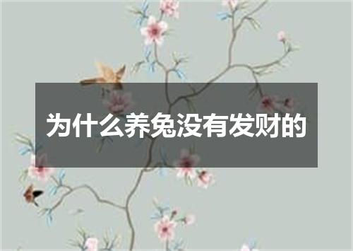 为什么养兔没有发财的