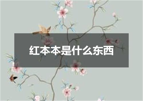 红本本是什么东西