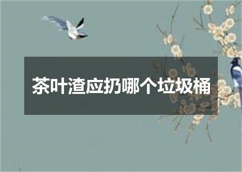 茶叶渣应扔哪个垃圾桶